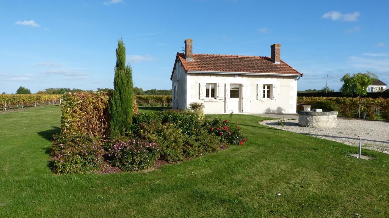 l'Ecrin au coeur des vignes - B&B