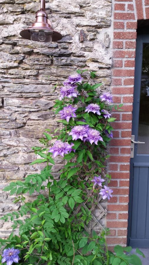 Espace Cosmos - B&B Vaux-sur-Sûre