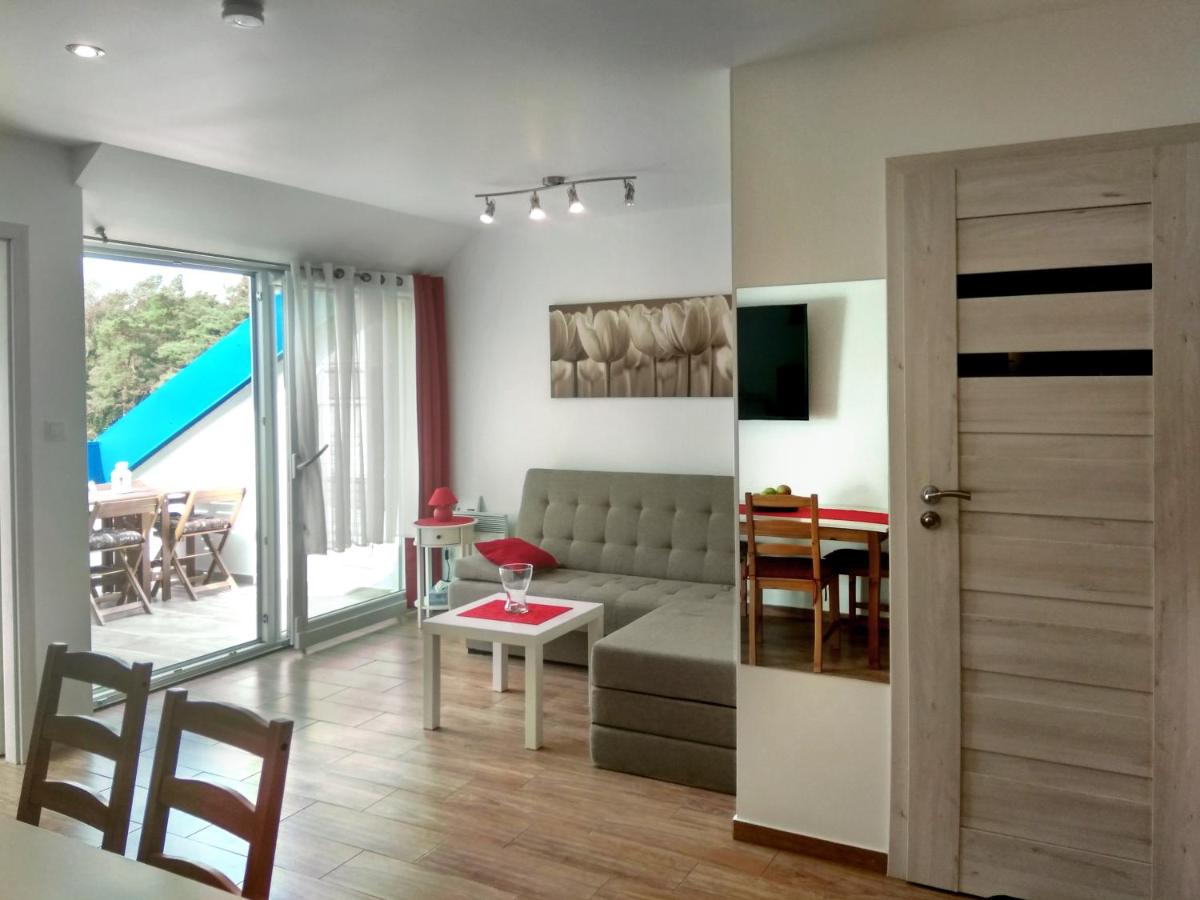 Appartement 1 Chambre