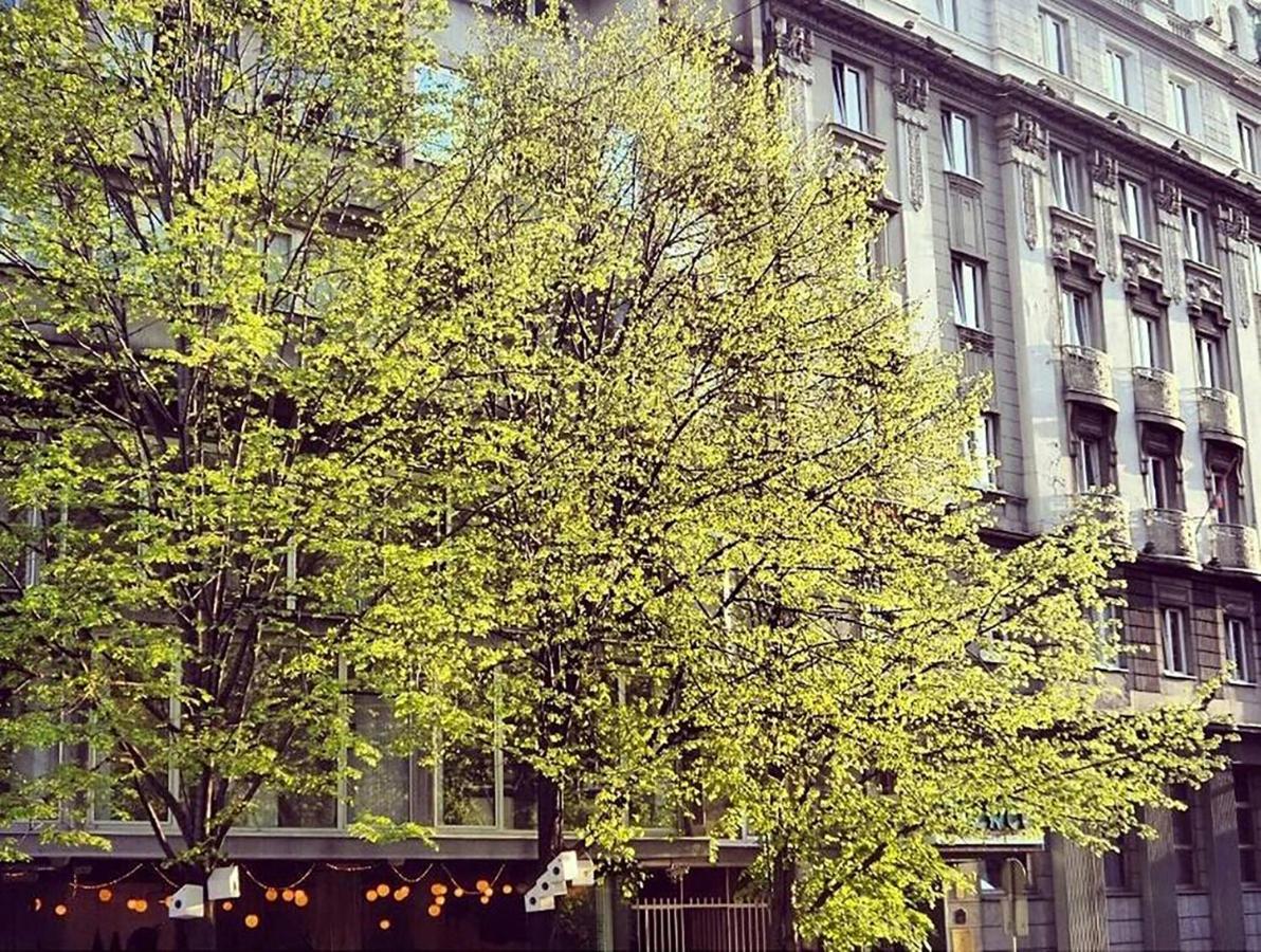 Supreme Palace Cube - B&B Belgrado