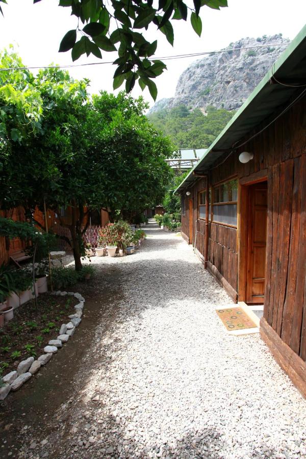 Olympos Doga Pansiyon | Olympos Mevkii Yazır Köyü / Antalya, 07980 Olimpos/Mediterranean Region Turkey | +90 242 892 10 66