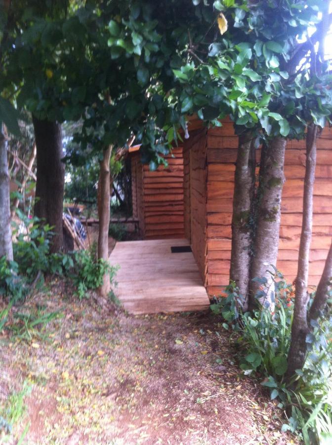CABAÑAS ALTO BELLAVISTA NIEBLA - B&B