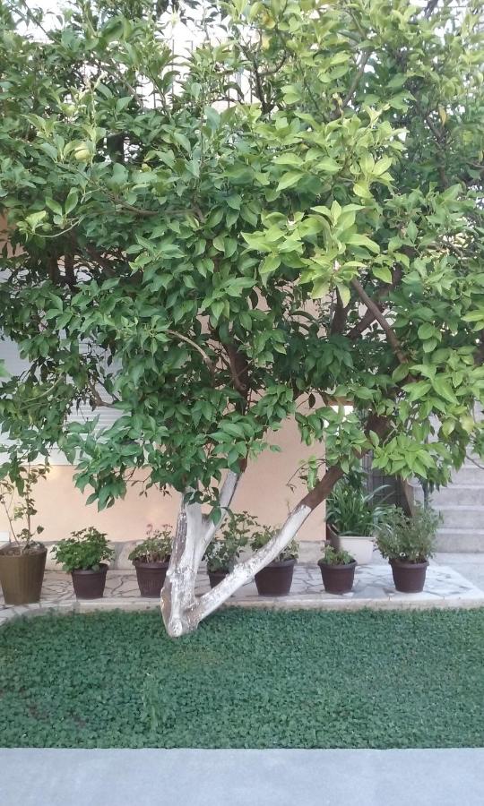 Apartamento - Planta baja