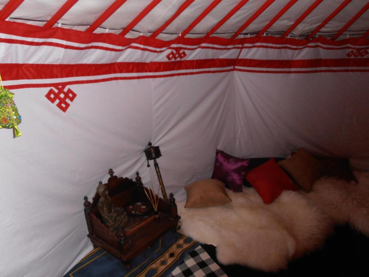 Yurt (3 Adults)