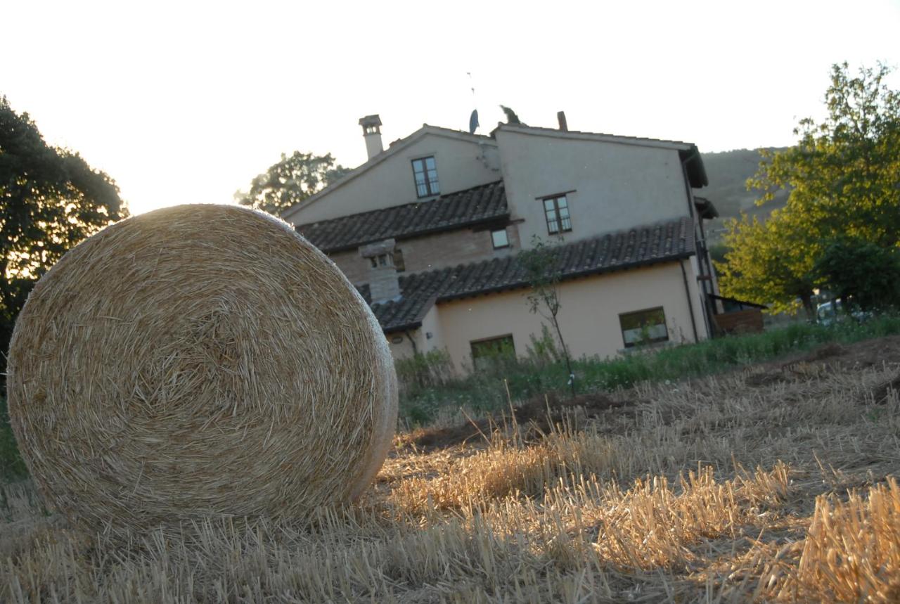 Mansarda Molenda - B&B Città di Castello
