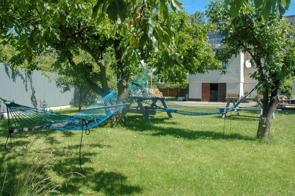 FitoSfera Inez - B&B