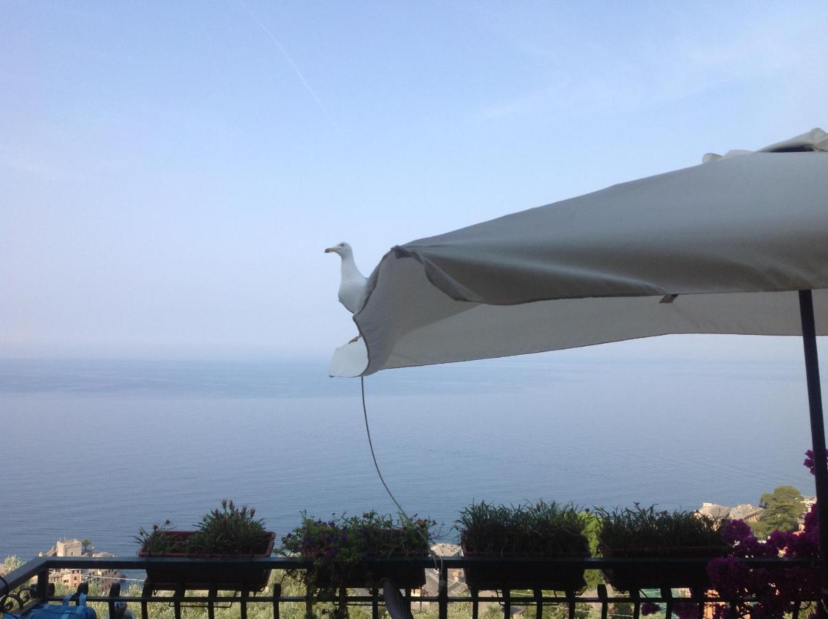 B&B Case Rosse - B&B