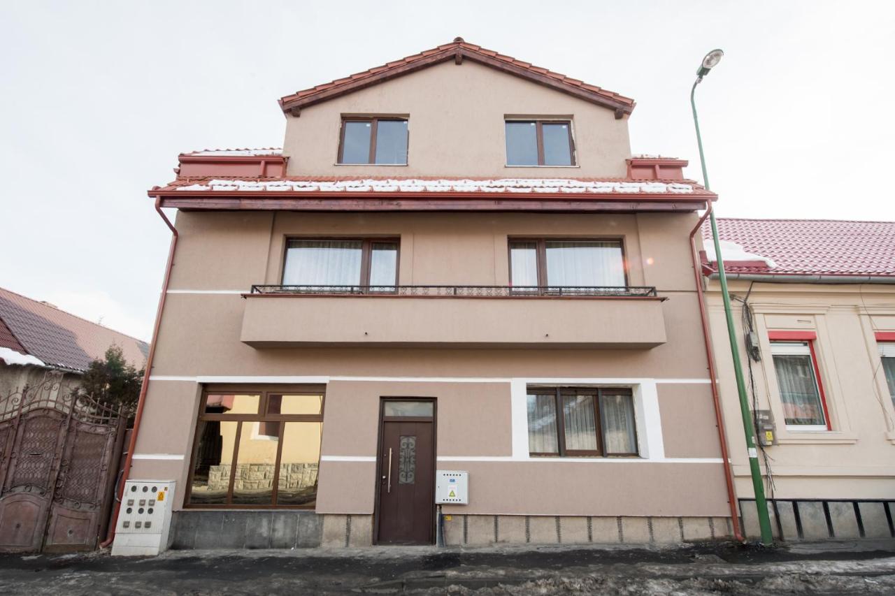 Vila Nicopole Art & Wine - Chambres d’hôtes Braşov
