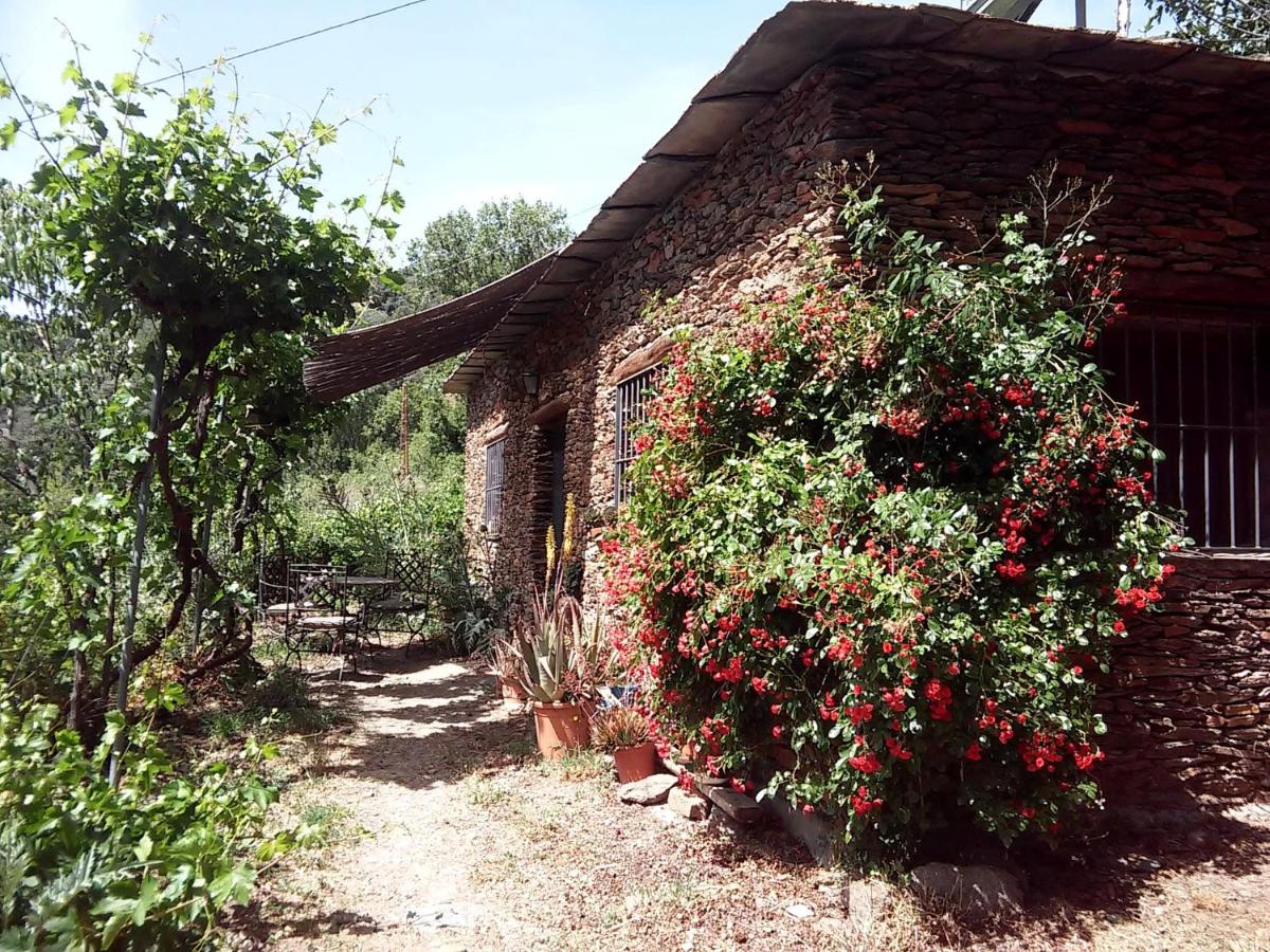 Casa con 1 dormitorio