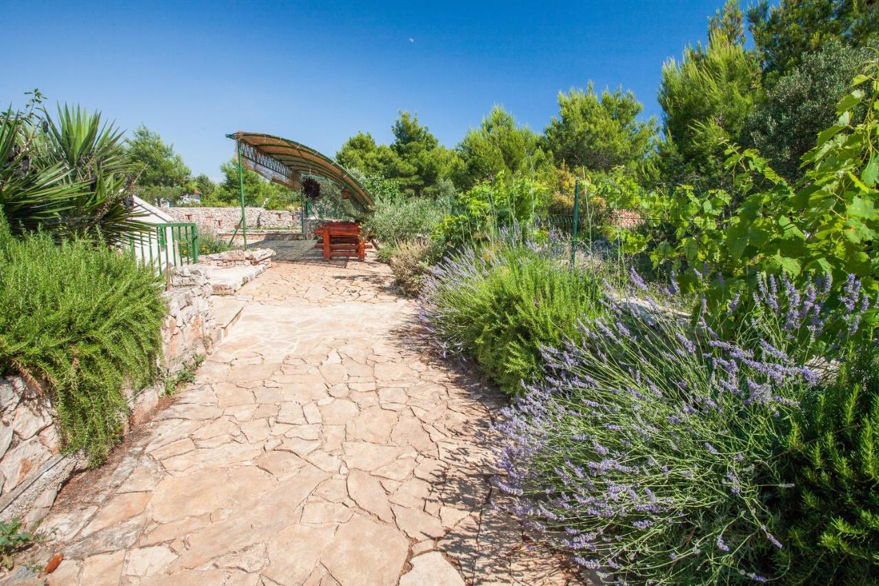 Apartments Dalmatinska Kuća - B&B Milna