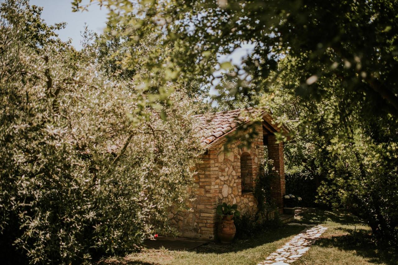 La Pupazza Bed&Breakfast - Ferienwohnung Avigliano Umbro