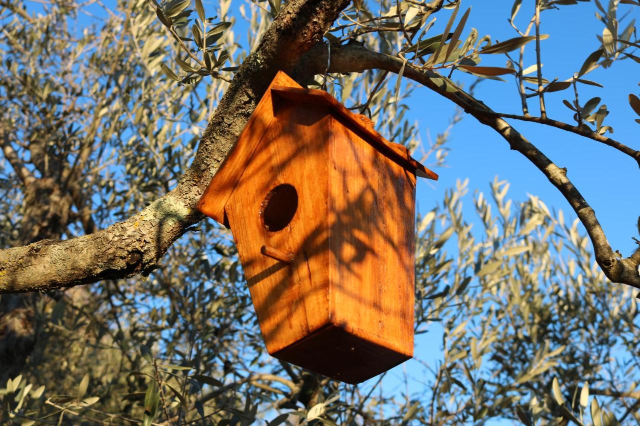 Appartamento con Vista Giardino