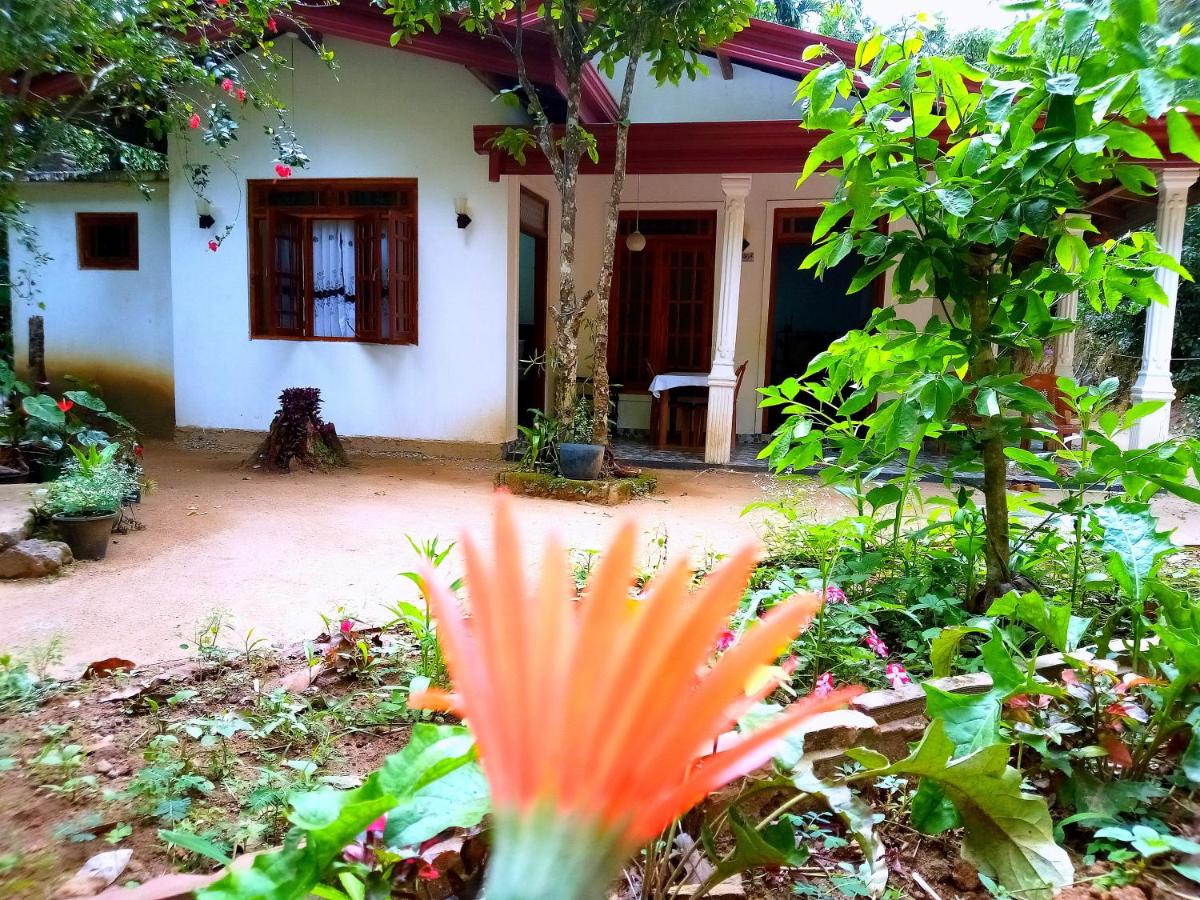 Ella Jungle Inn Homestay And Tree House - B&B Ella Town