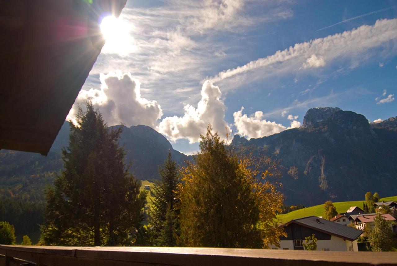 Appartement Supérieur 1 Chambre