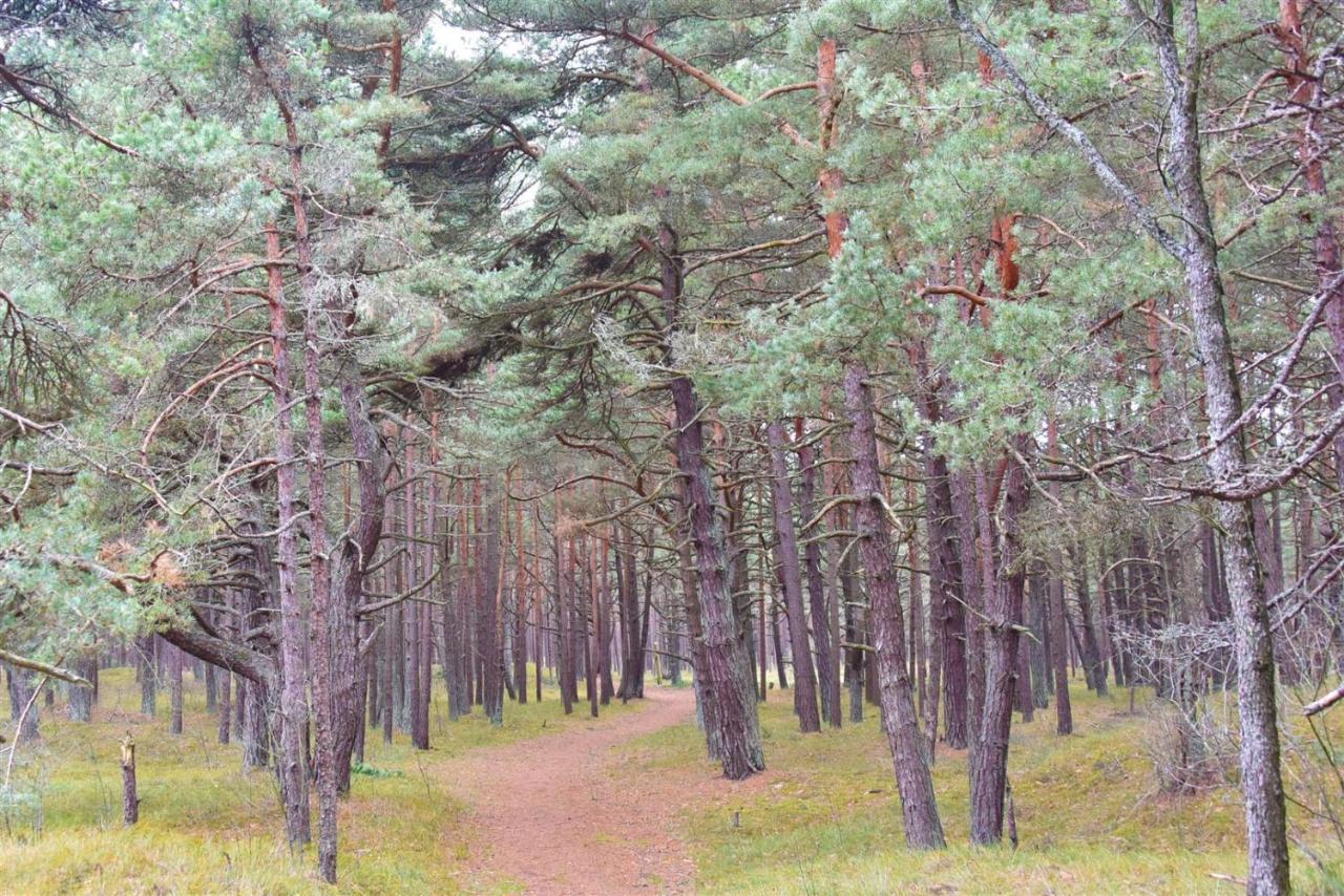 Apartment mit Terrasse