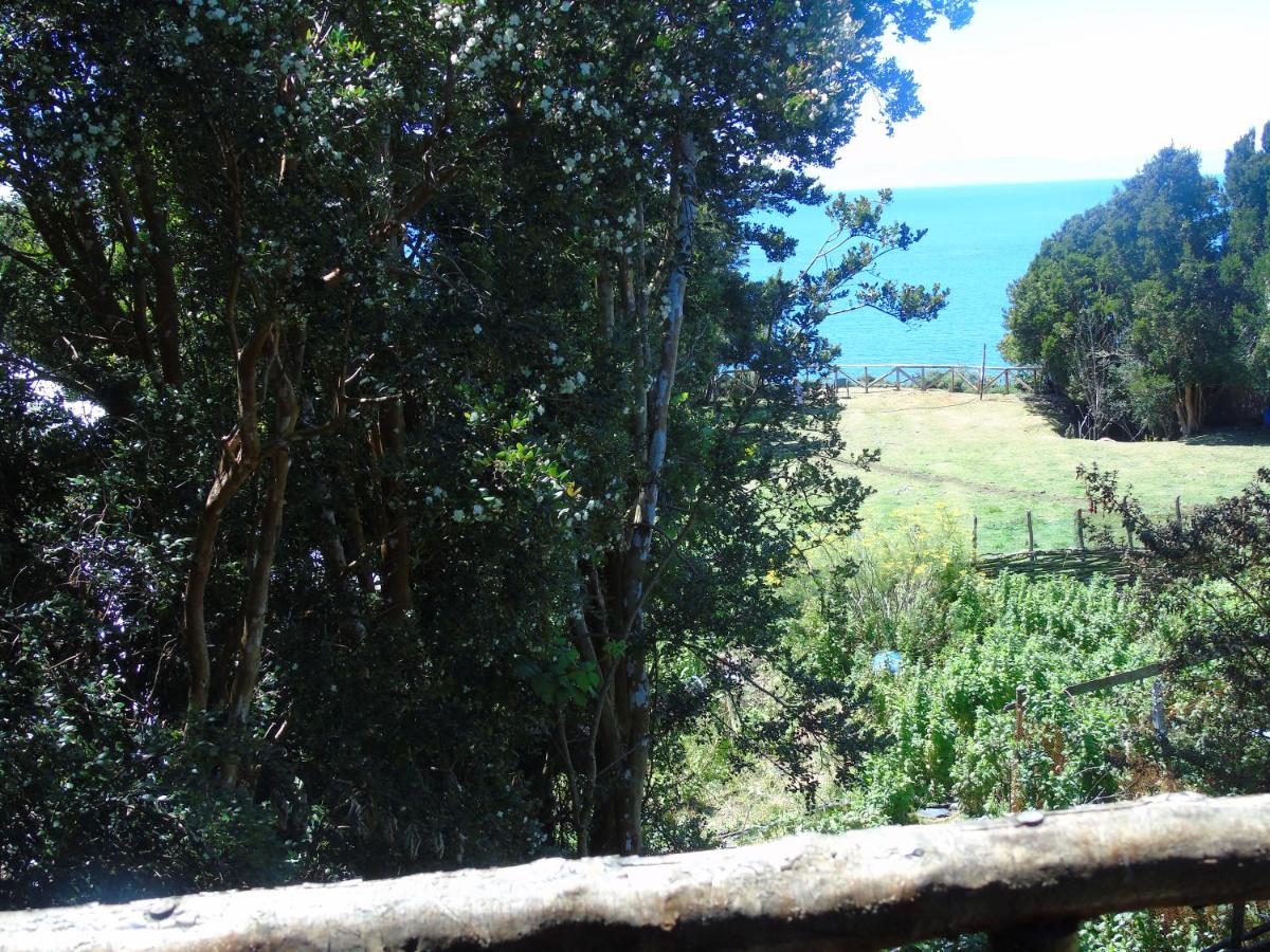 La Ranchita de Queilen - B&B