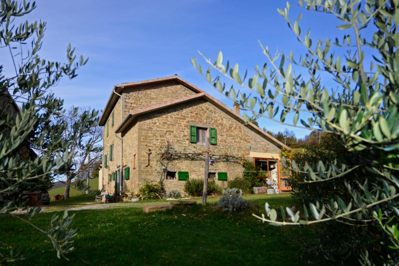 B&B Premilcuore - B&B Luna e Stelle - Bed and Breakfast Premilcuore