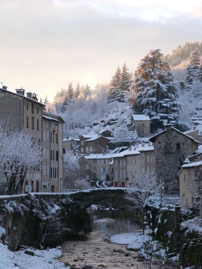 Cocon des Cévennes - Pierre de Lune - B&B