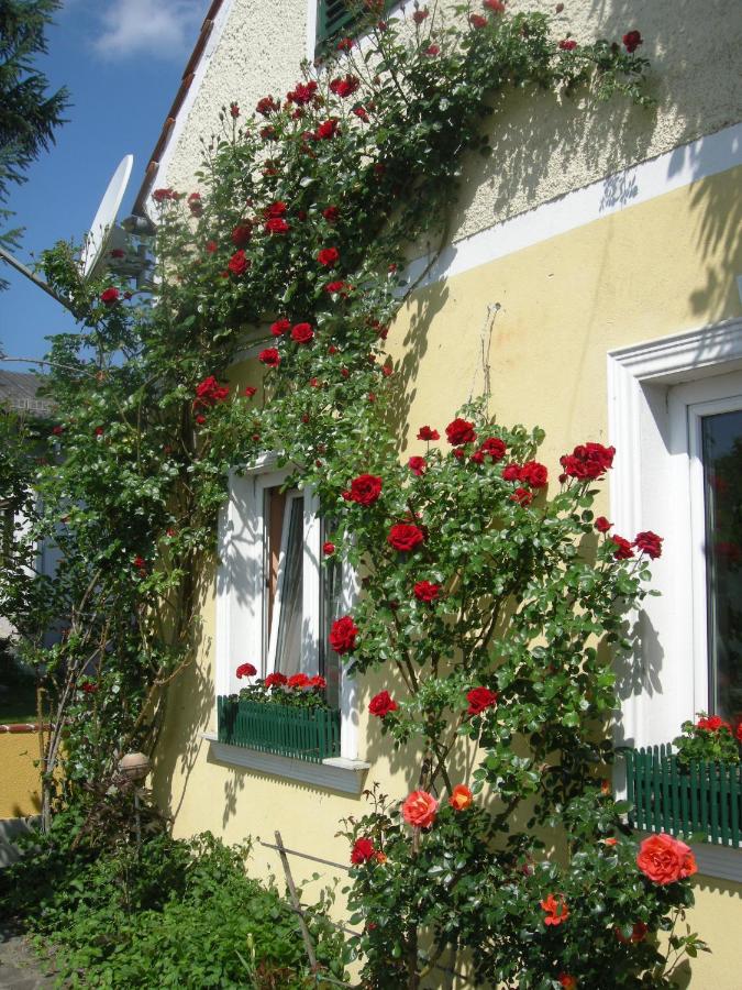 Pension Arkadenhof - Ferienwohnung