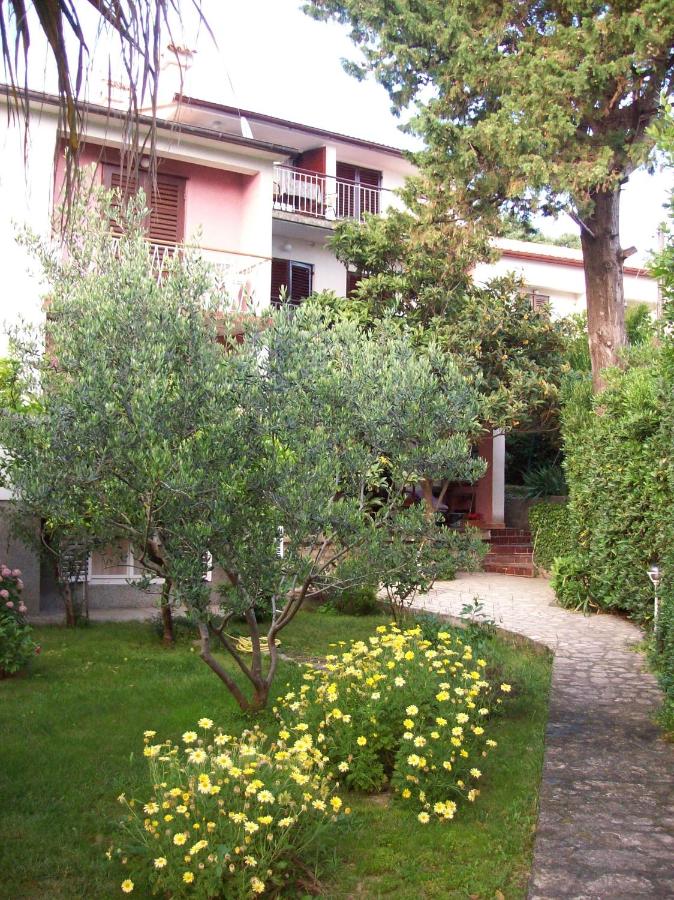 Apartments Rožić - B&B
