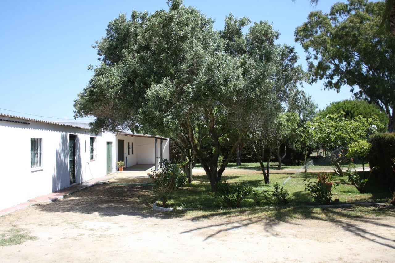 Villa Ana - B&B Zahora