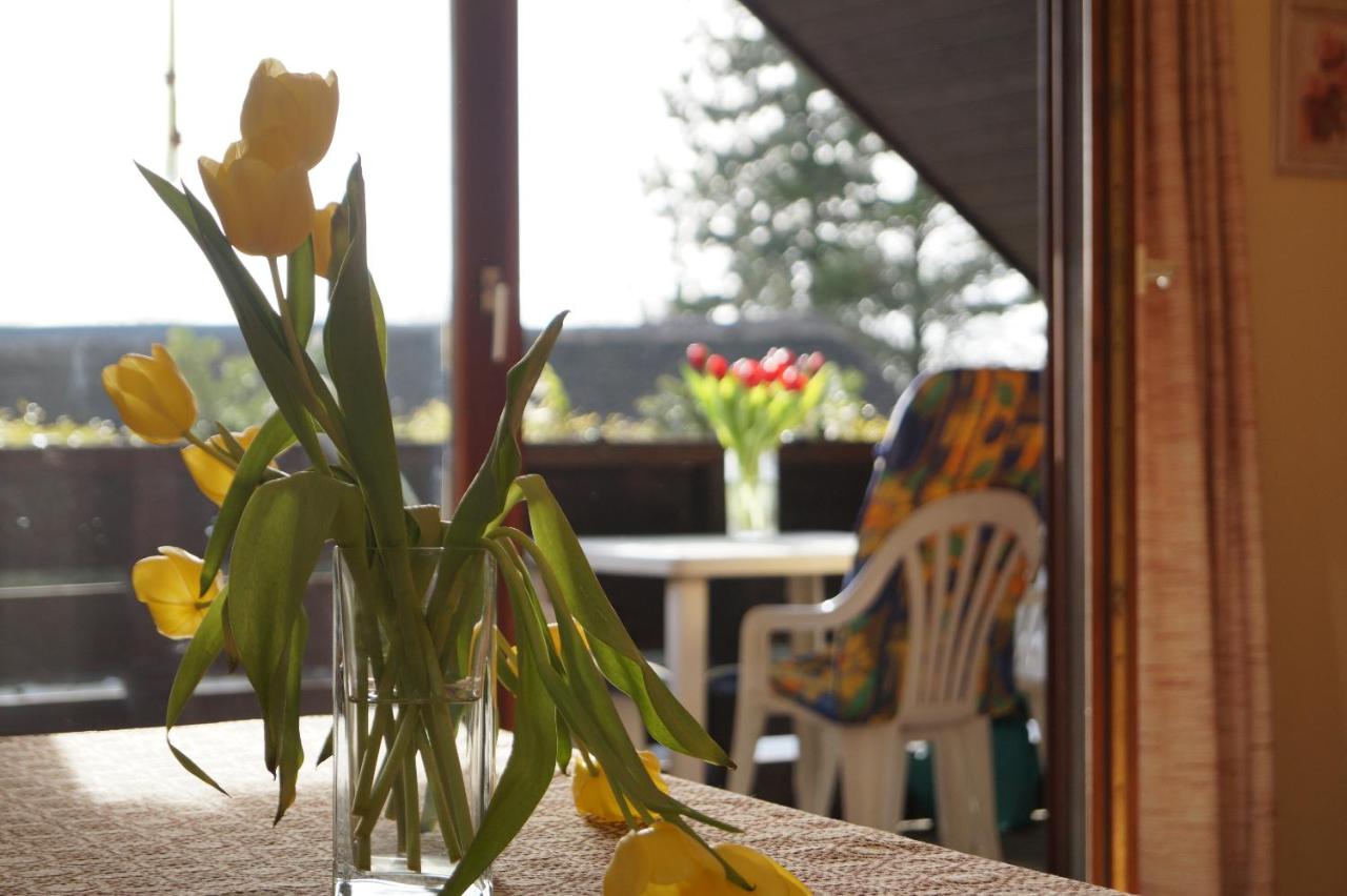 Apartment First Floor