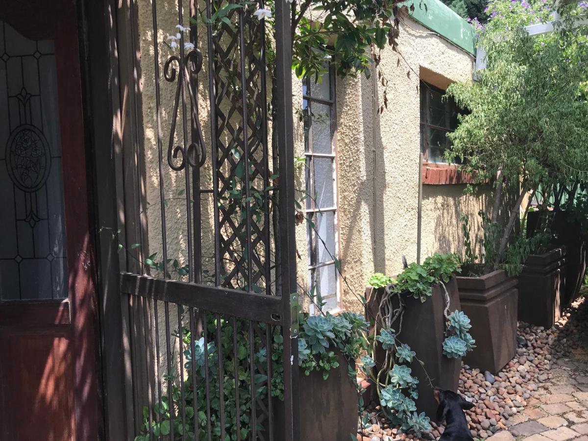 Contemporary Stay at Giraffe Cottage - Bed and Breakfast