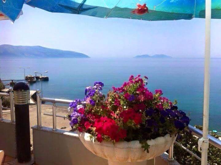 B&B Vlora - Vlora apartments - Bed and Breakfast Vlora