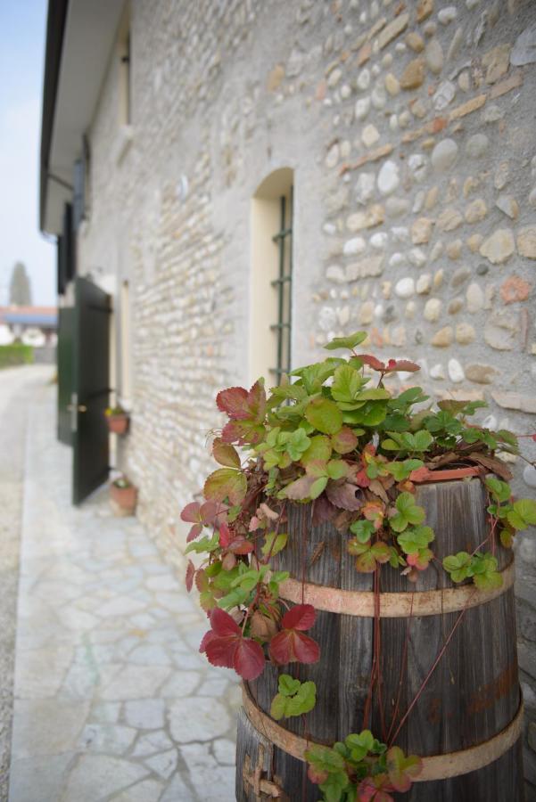 Ca' Premuda Locazione Turistica - Ferienwohnung