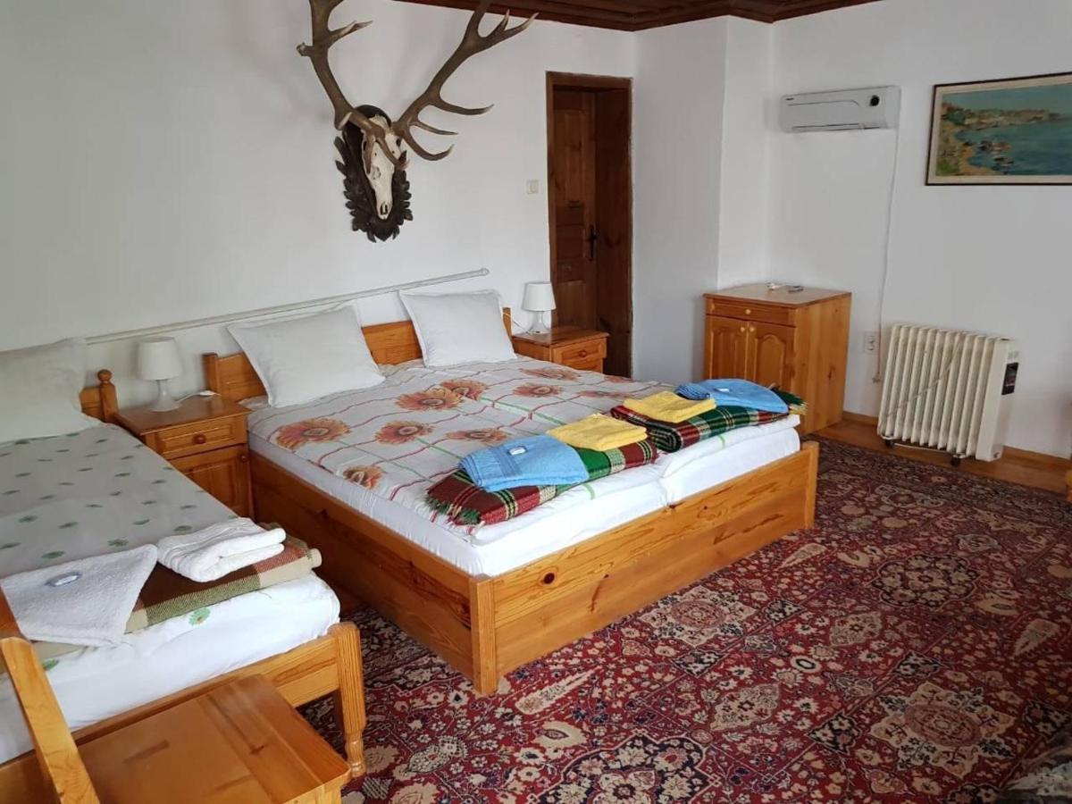 Suite Junior con vistas al jardín 