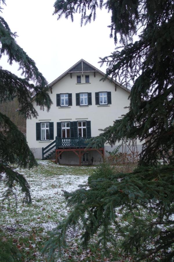 Pension Gräfliche Villa - B&B