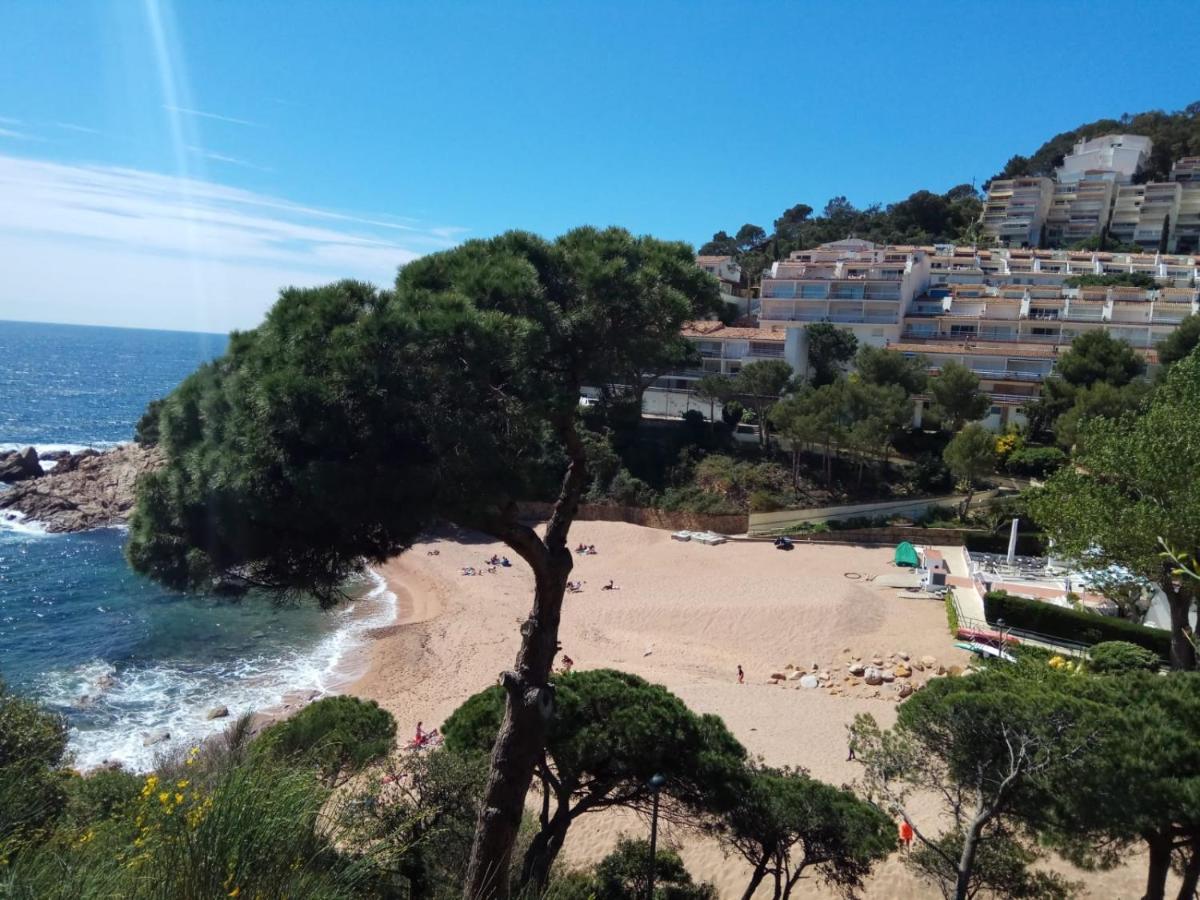 Neptuno, Cala Salions, Tossa de Mar, Costa Brava - B&B Tossa de Mar
