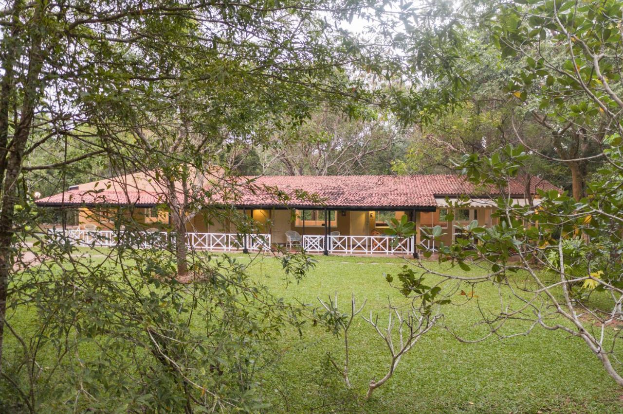 Jasper Leopard - Bed and Breakfast Welpitiya