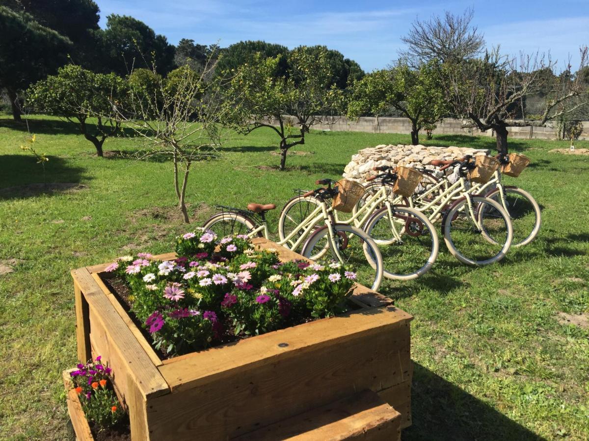 Studio met Uitzicht op de Tuin