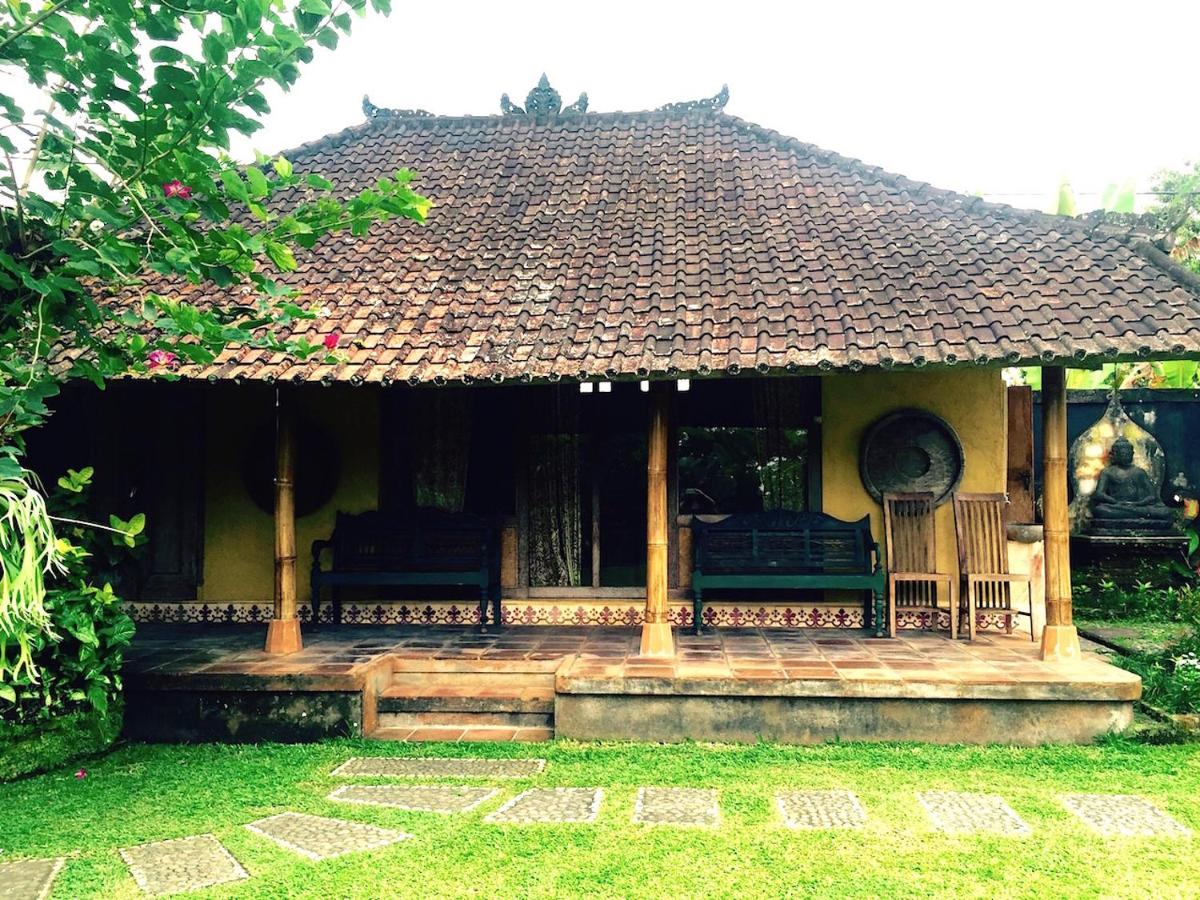 Bali Mountain Retreat - B&B