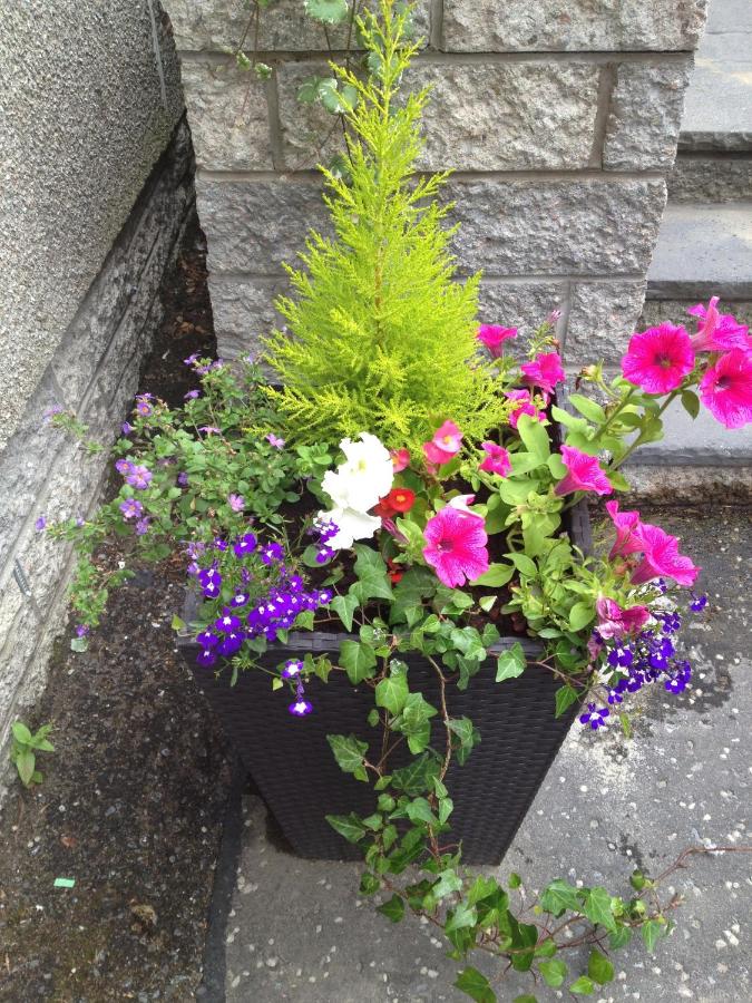 Rosehill Guest House - B&B Pitlochry