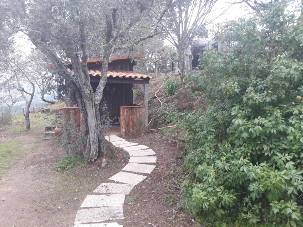 Cabana da Oliveira - Chambres d’hôtes