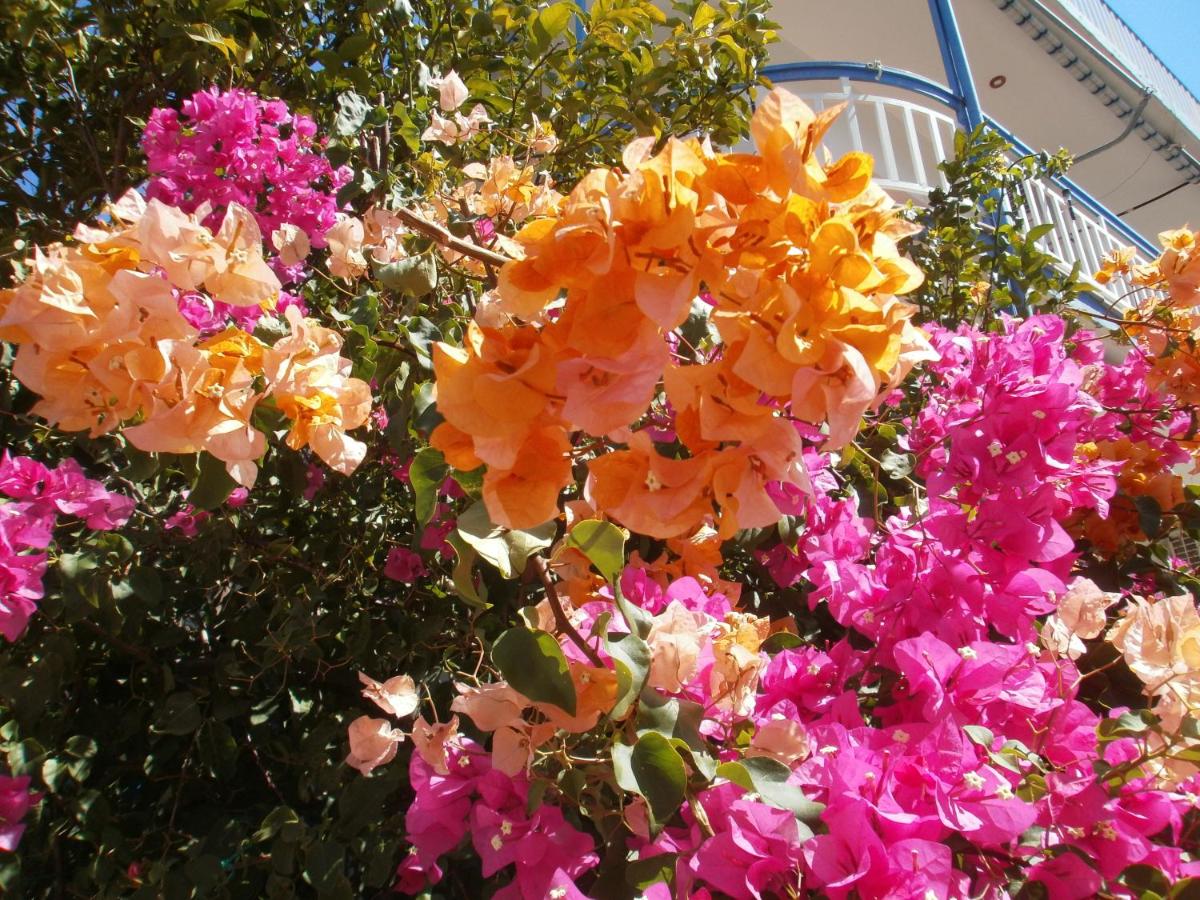 Seaview - selfcatering apartment - Helen No 2 - Bed and Breakfast Ksiropígado