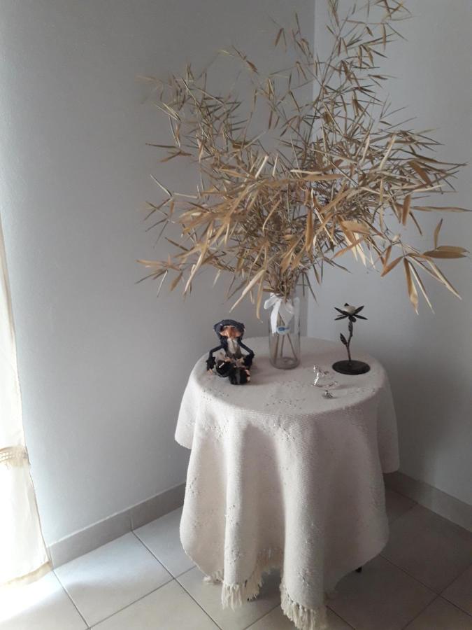 Appartement 1 Chambre
