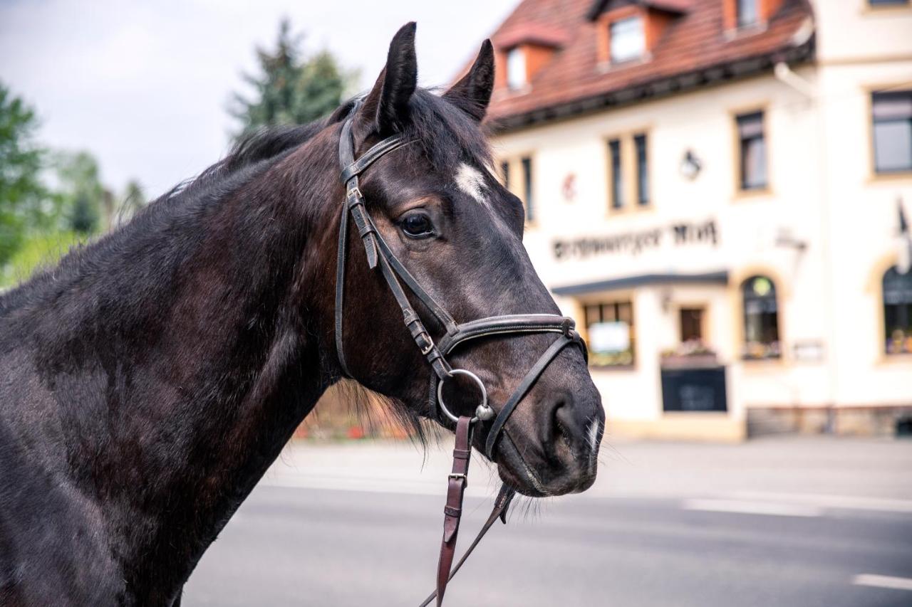 B&B Arnsdorf - Schwarzes Ross - Bed and Breakfast Arnsdorf