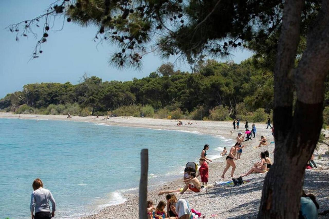 Apartment 50m from sea! - B&B