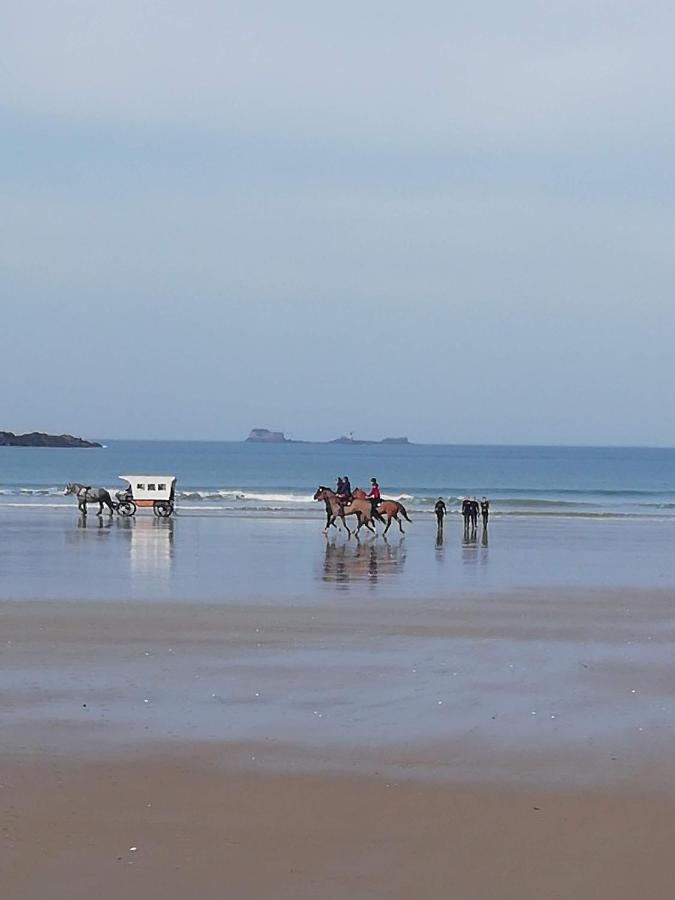 46 Avenue Pasteur - B&B Saint-Malo