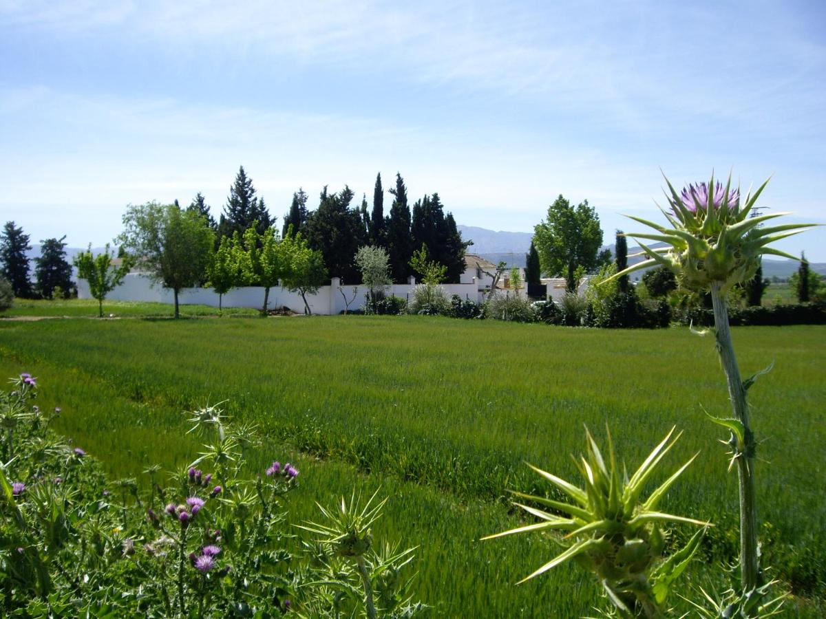 B&B Mollina - Cortijo Jabonero - Bed and Breakfast Mollina