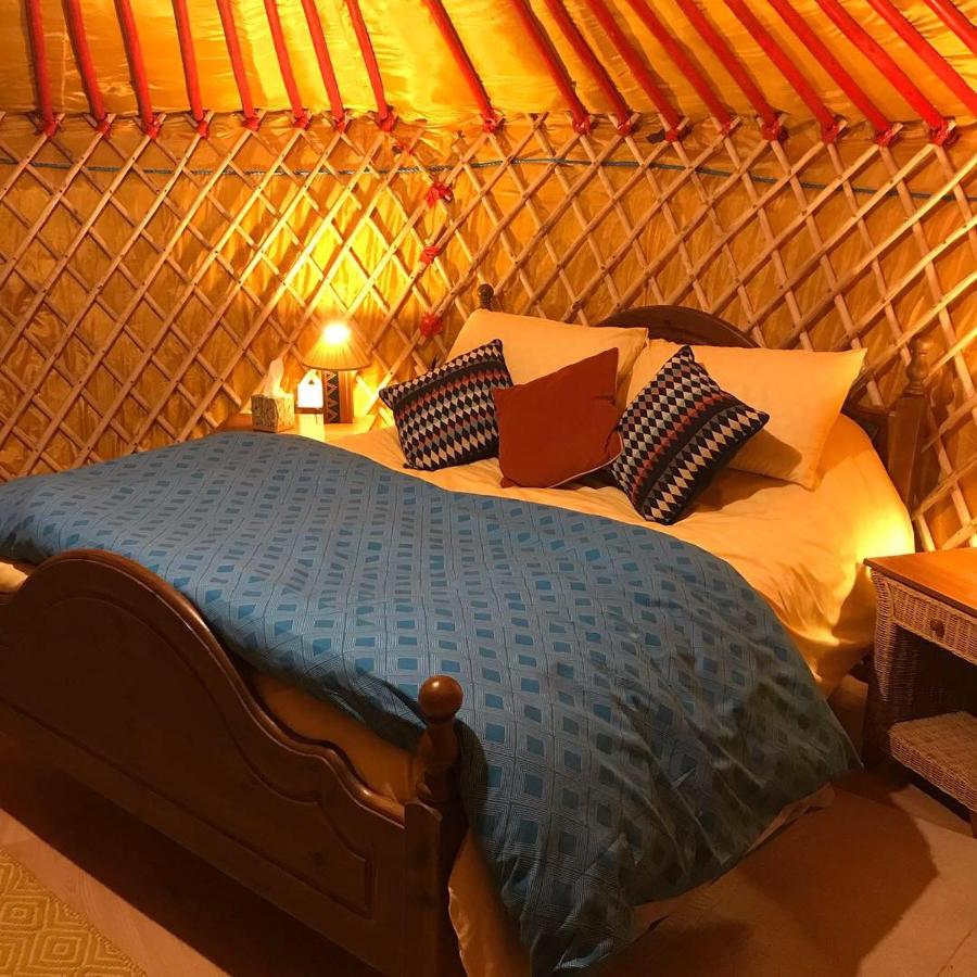 B&B Kilkenny - McClure Yurt at Carrigeen Glamping - Bed and Breakfast Kilkenny