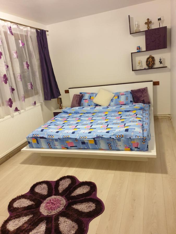 Apartament Oana's Home - Chambres d’hôtes