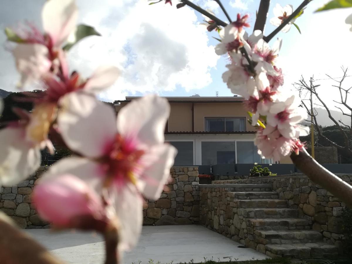 B&B Capo al Piano - B&B Marciana Marina