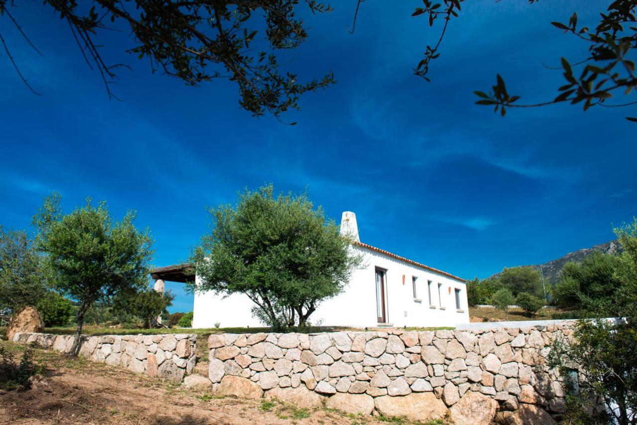 Case Vacanze S'Arrexina - B&B Rudalza