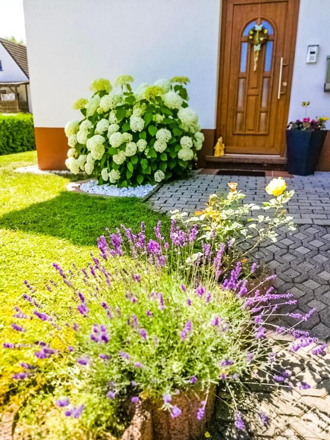 Ferienwohnung Ilona - Chambres d’hôtes