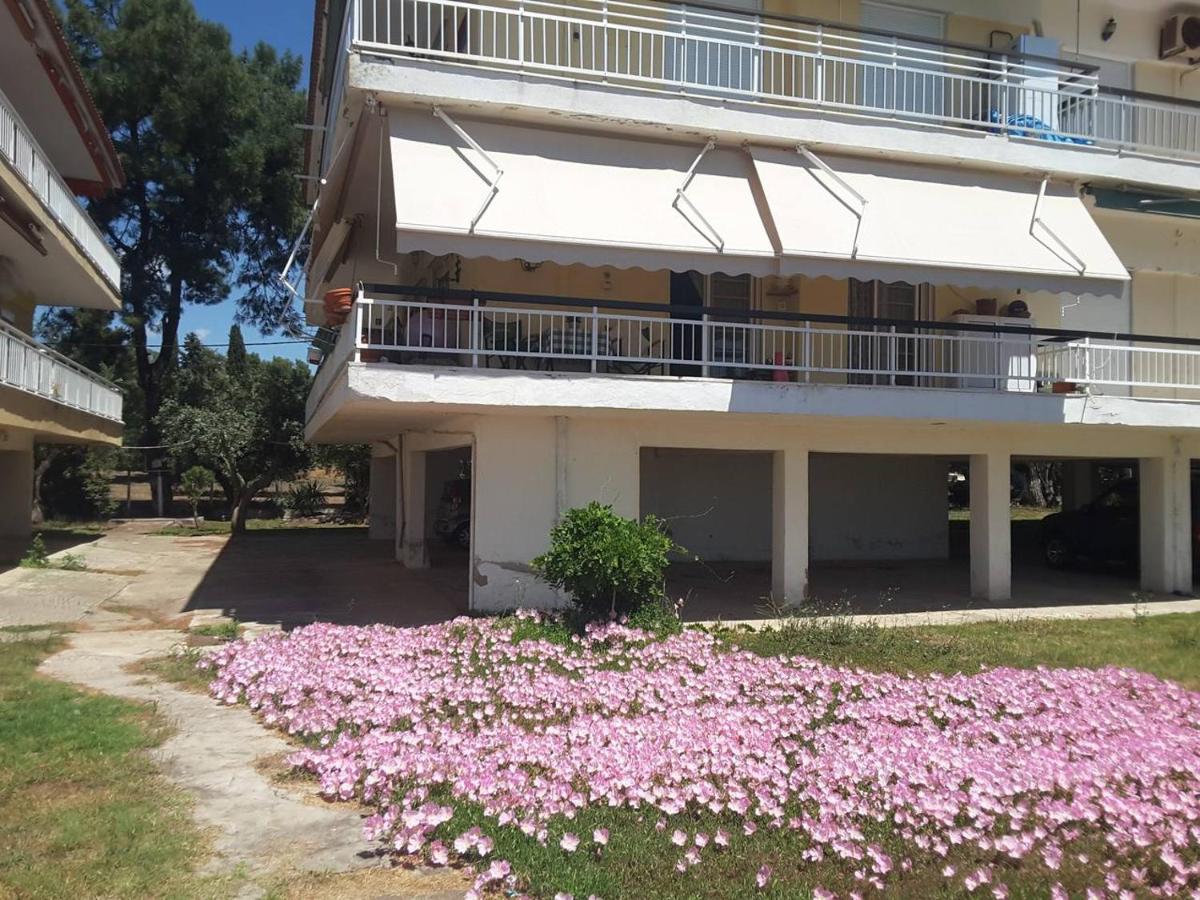 Metamorphosis - Halkidiki Apartment on the beach - Chambres d’hôtes Metamórfosi