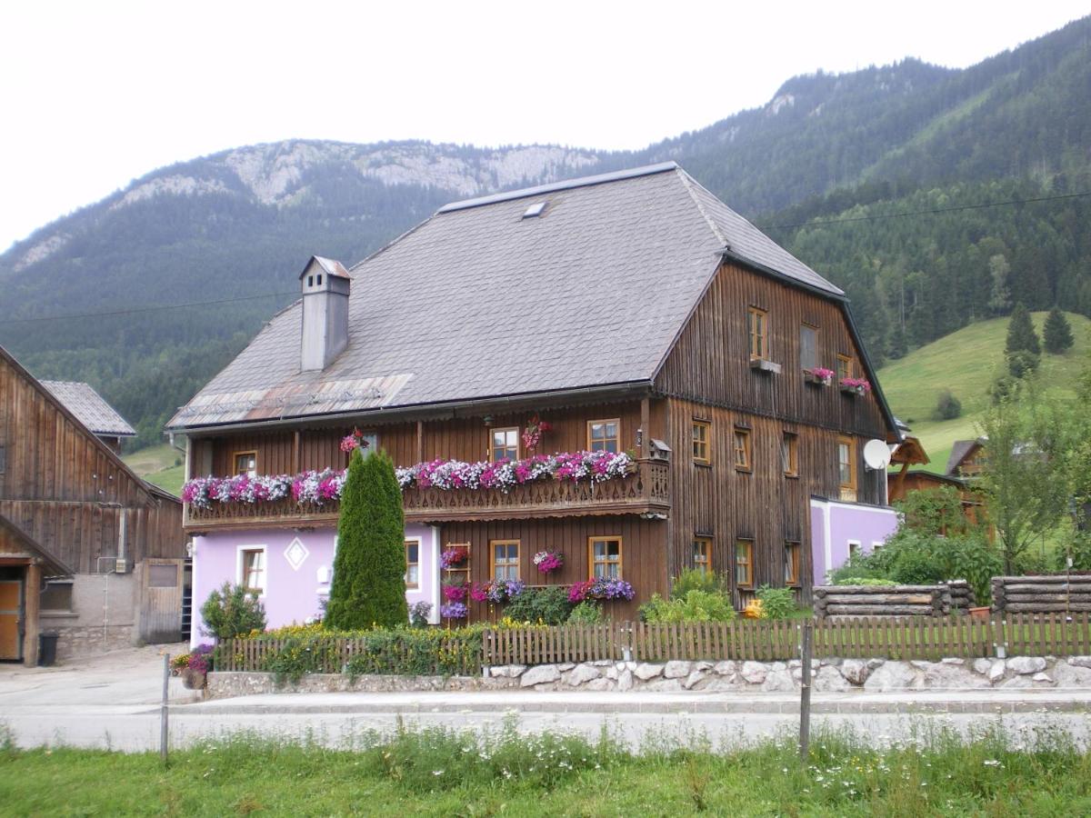 B&B Bad Mitterndorf - Ferienwohnung Andrea - Bed and Breakfast Bad Mitterndorf